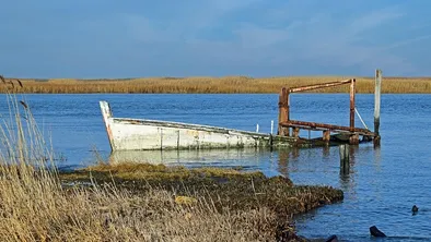 В Акмолинской области нашли тело пропавшего мужчины