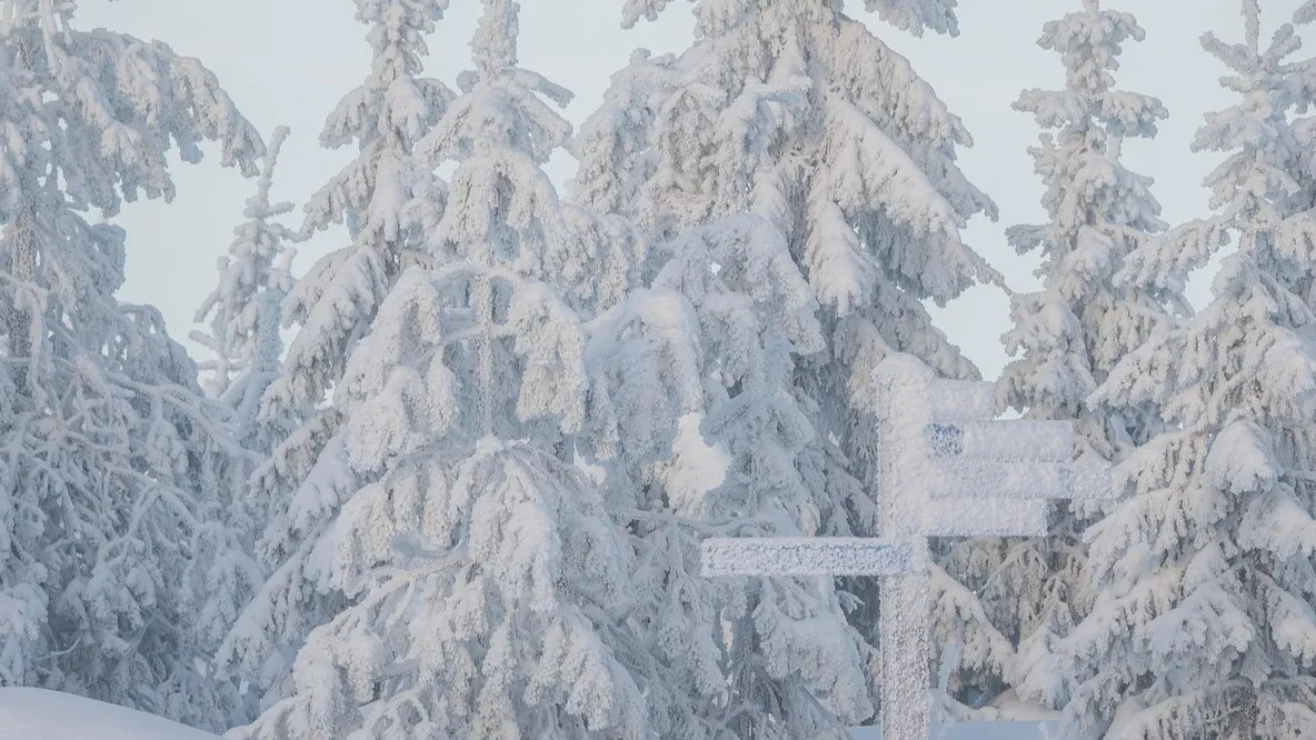 Осадки ожидаются в казахстанских мегаполисах фото на taspanews.kz от 09 декабря 2025 08:32