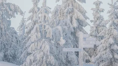 Осадки ожидаются в казахстанских мегаполисах