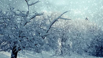 Снег и облачность: прогноз погоды в Астане, Алматы и Шымкенте