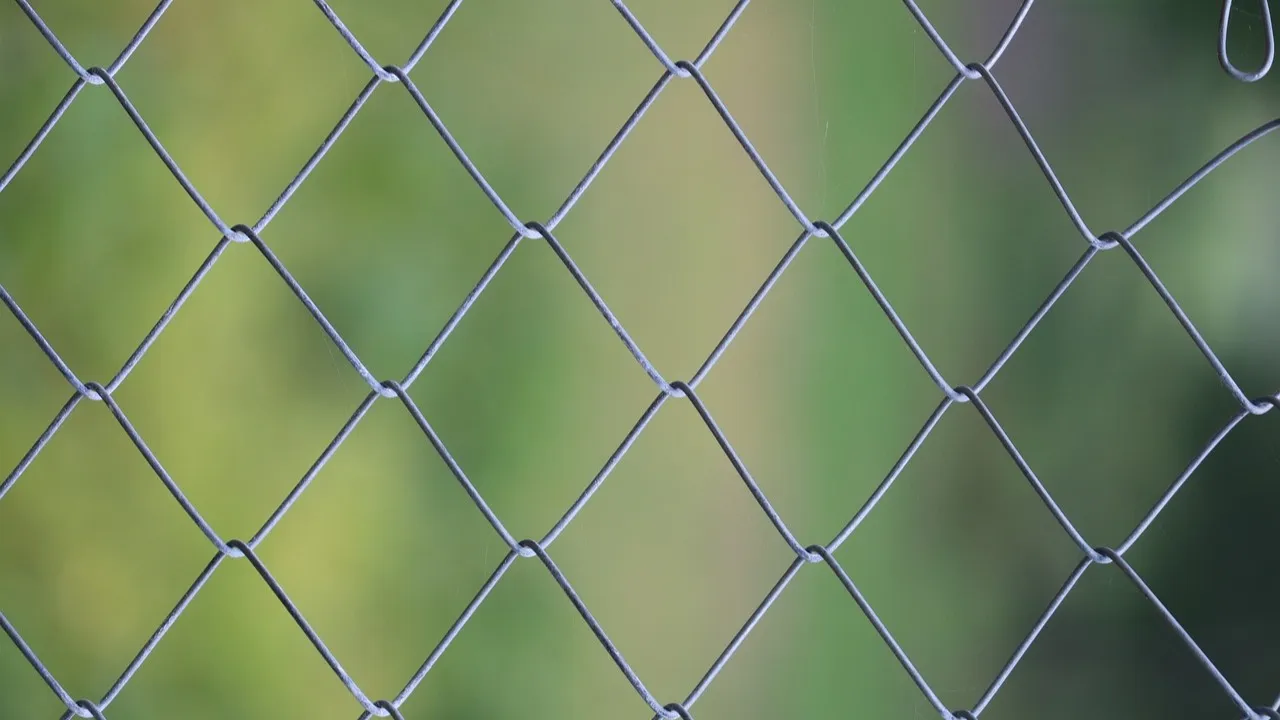 В Жамбылской области 28 человек осудили за проникновение на золотодобывающее предприятие фото на taspanews.kz от 10 декабря 2025 10:51