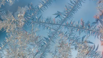 В Астане часть школьников отправили домой из-за непогоды