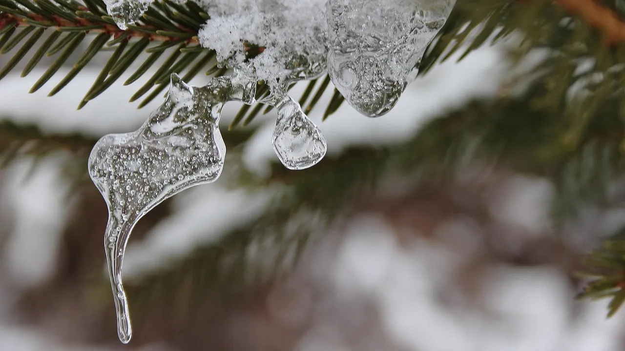 Сегодня без осадков: погода в Астане, Алматы и Шымкенте фото на taspanews.kz от 11 декабря 2025 08:31