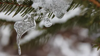 Сегодня без осадков: погода в Астане, Алматы и Шымкенте