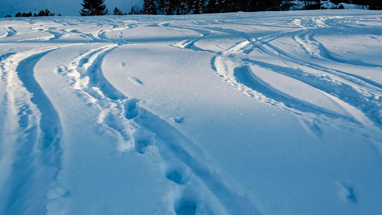 В Алматинской области спасатели за ночь эвакуировали с трасс 40 замерзших авто фото на taspanews.kz от 12 декабря 2025 09:24