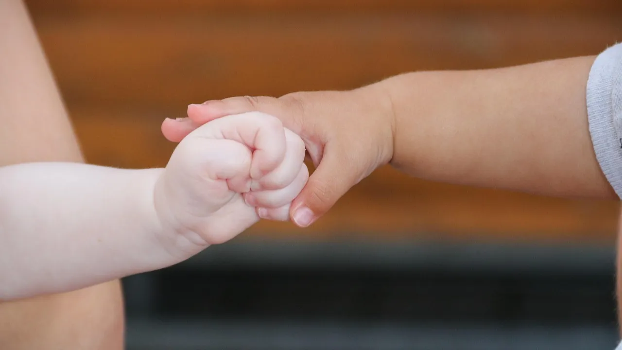 18 лет тюрьмы грозит жителям Алматы, продававшим младенцев фото на taspanews.kz от 12 декабря 2025 09:41