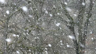 Часть учеников в Астане перешли на удаленный формат из-за непогоды