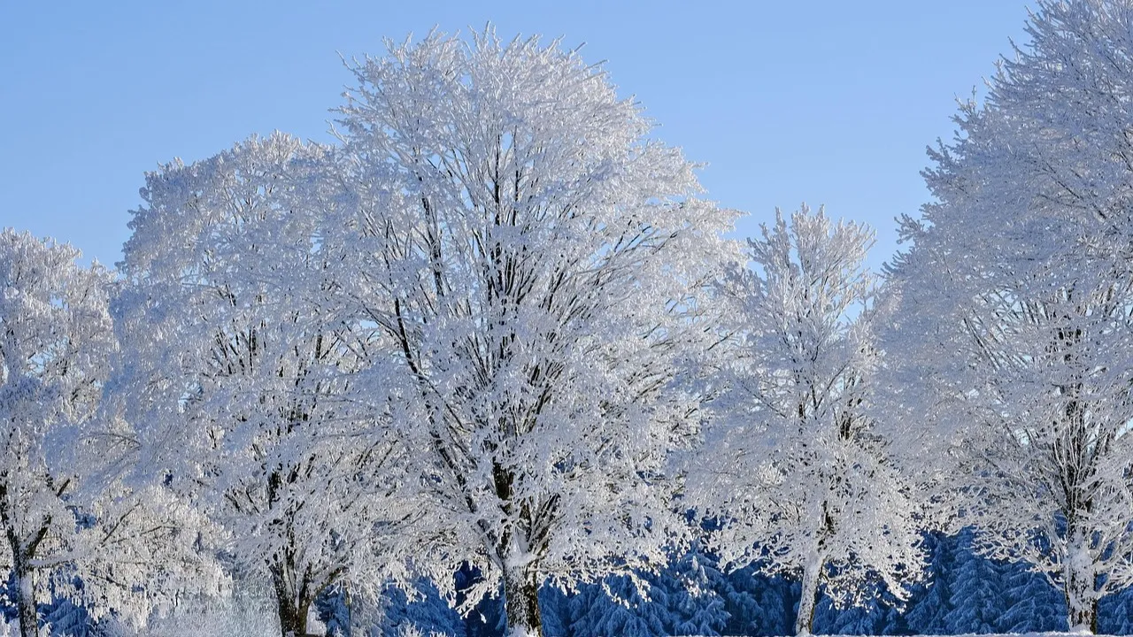 Учеников старших классов также перевели на удаленный формат обучения в Астане фото на taspanews.kz от 15 декабря 2025 10:28