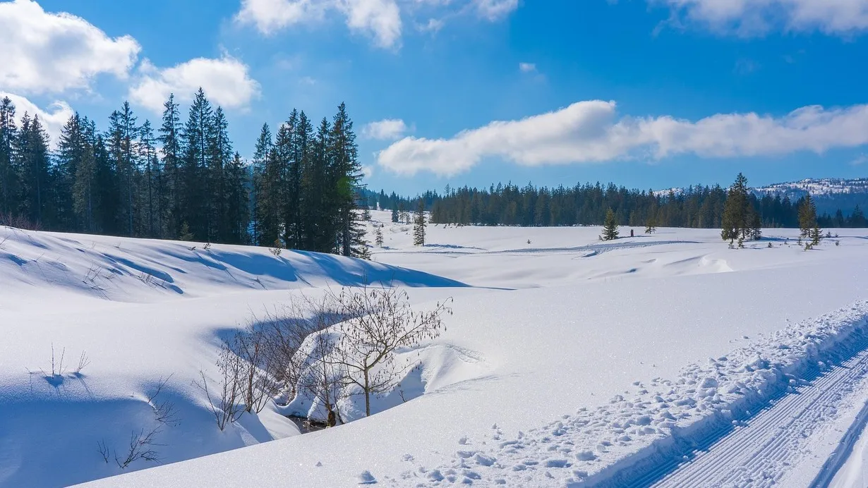 Запрет на выезд введен в Астане из-за метели фото на taspanews.kz от 15 декабря 2025 15:02