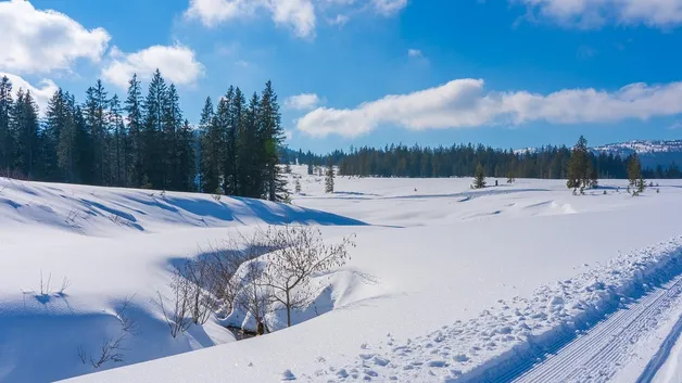 Запрет на выезд введен в Астане из-за метели