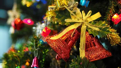 Стало известно, когда в Алматы зажгут главную городскую елку