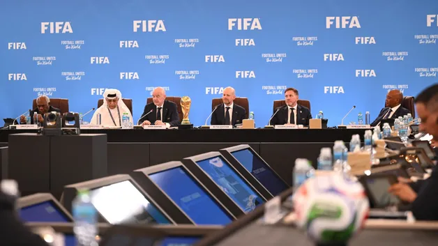 Совет FIFA 