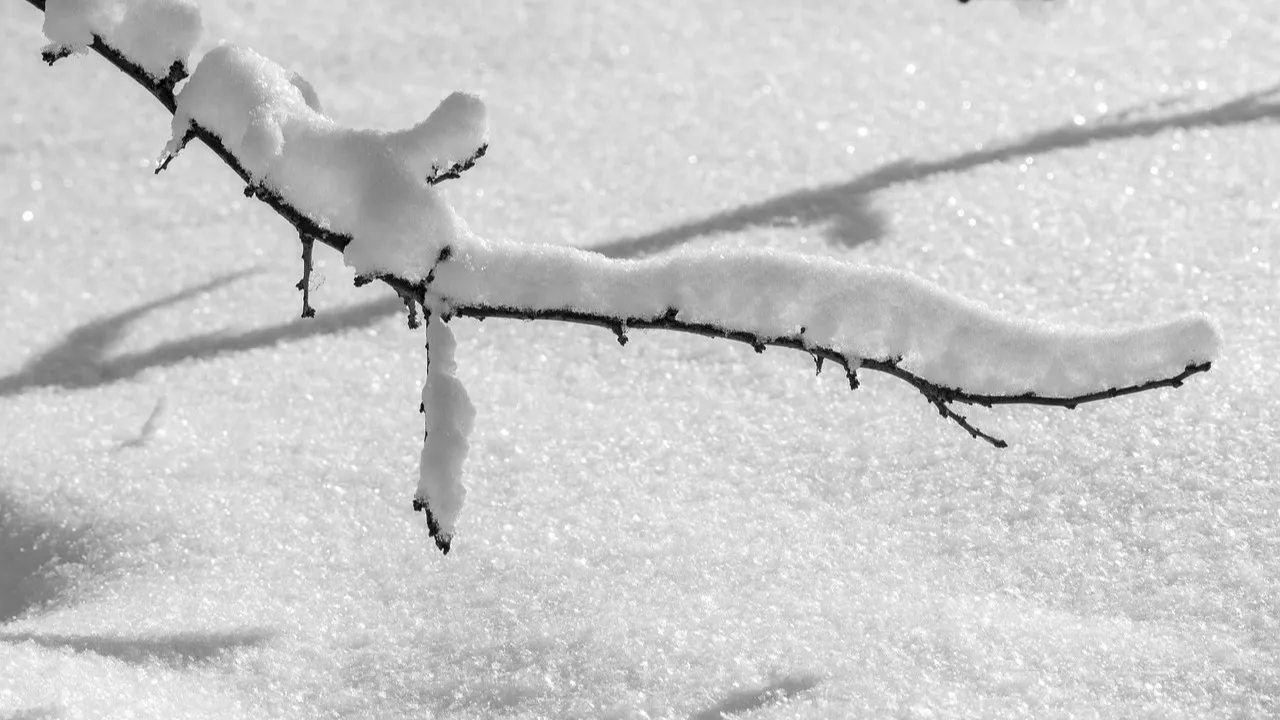 Понедельник, 22 декабря: прогноз погоды в казахстанских мегаполисах фото на taspanews.kz от 22 декабря 2025 08:28