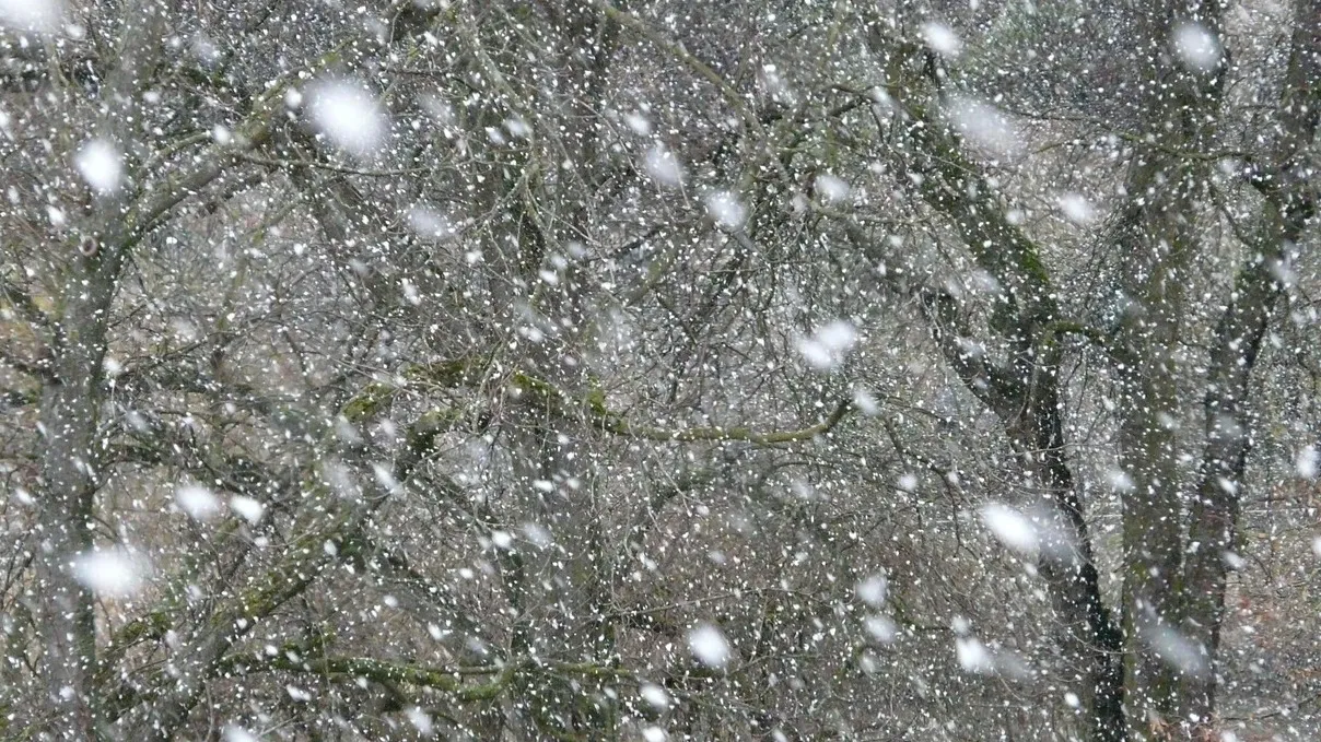 В ВКО и Семее школьников отправили на "удаленку" из-за сильных заморозков фото на taspanews.kz от 22 декабря 2025 09:11