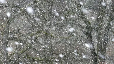 В ВКО и Семее школьников отправили на "удаленку" из-за сильных заморозков