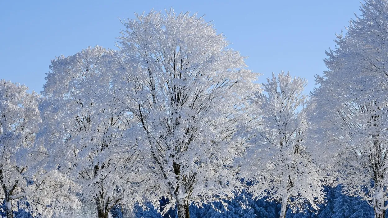 Пятница, 26 декабря: прогноз погоды в Астане, Алматы и Шымкенте фото на taspanews.kz от 26 декабря 2025 08:33