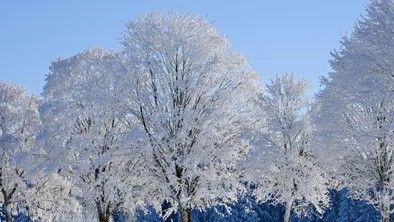 Пятница, 26 декабря: прогноз погоды в Астане, Алматы и Шымкенте