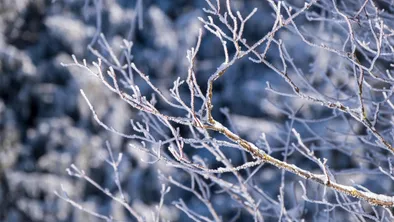 Погода в Астане, Алматы и Шымкенте сегодня