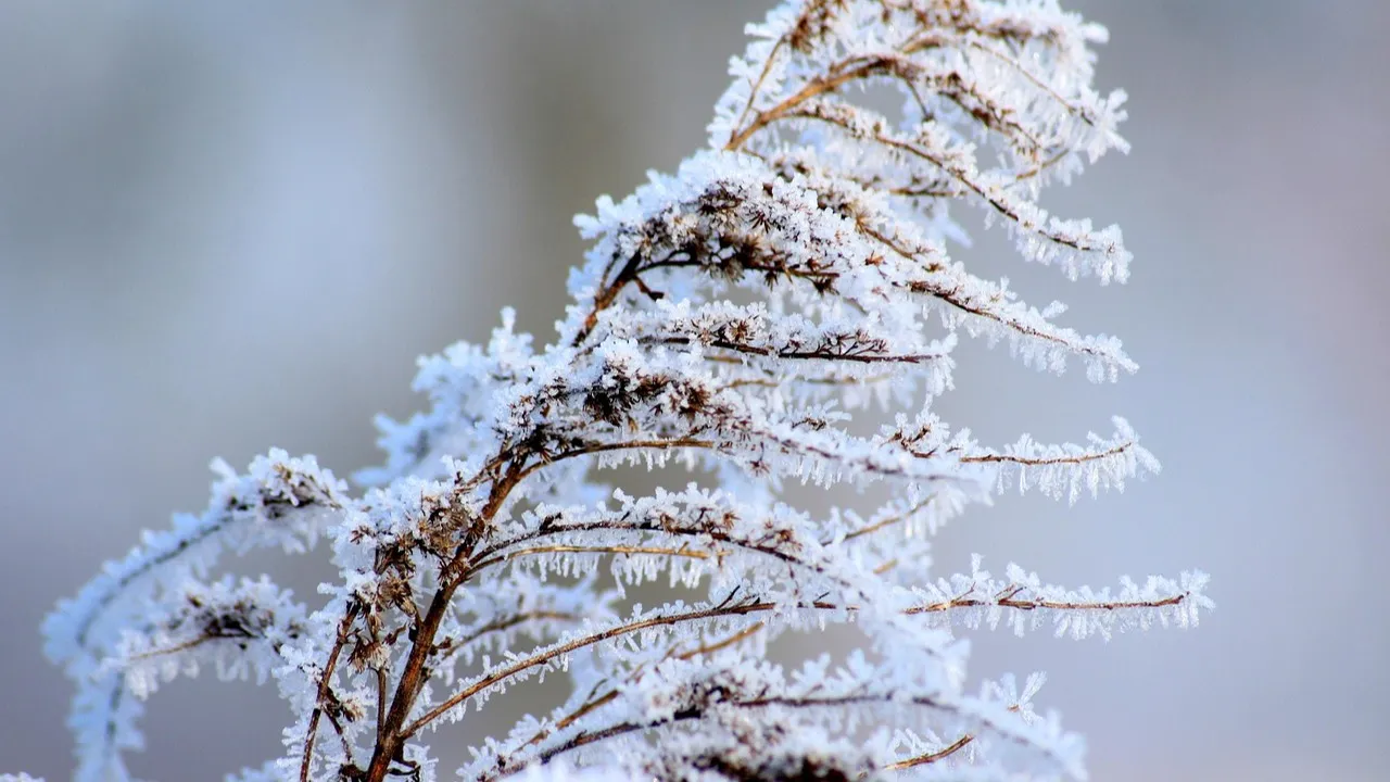 5 января: прогноз погоды в Астане, Алматы и Шымкенте фото на taspanews.kz от 05 января 2026 08:03