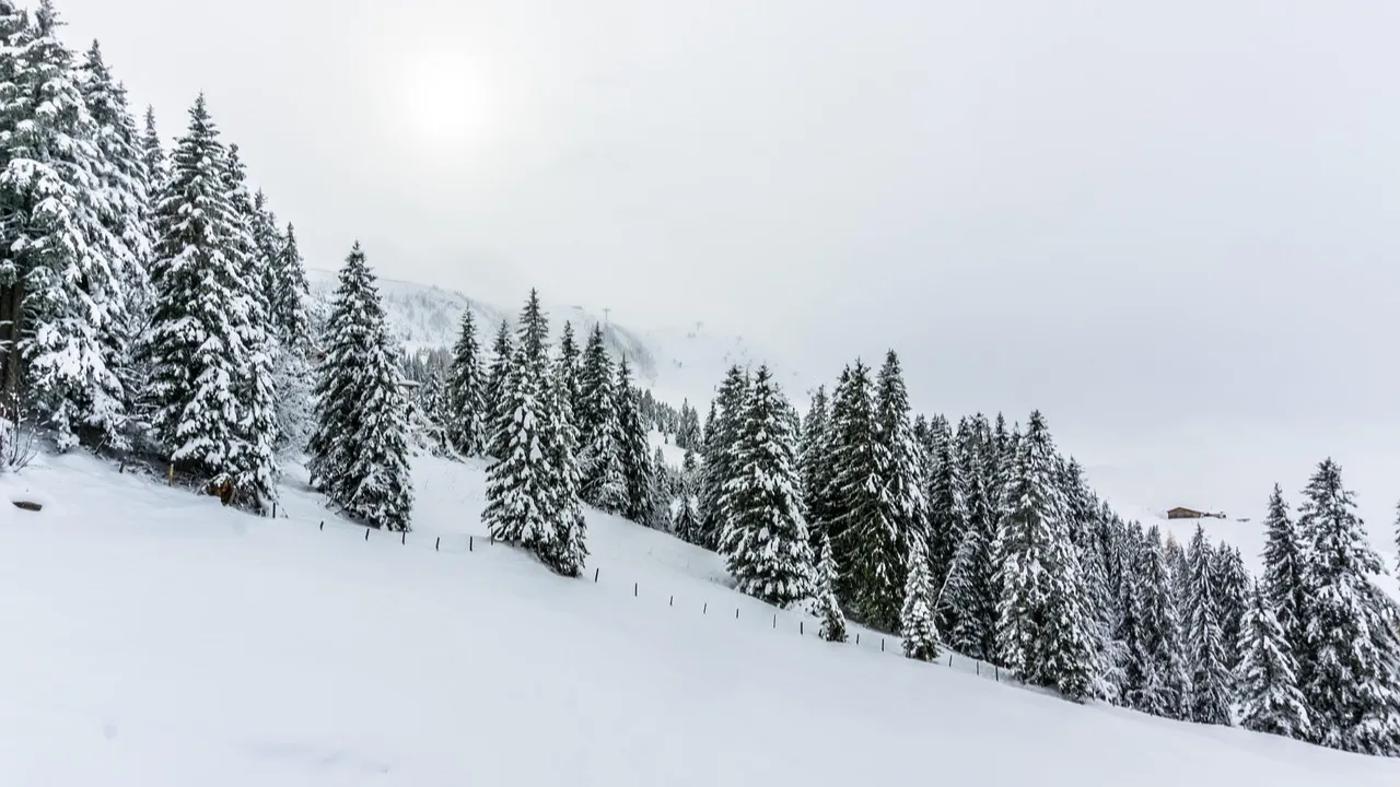 46 граждан РФ застряли в мороз на одной из казахстанских трасс фото на taspanews.kz от 06 января 2026 08:41