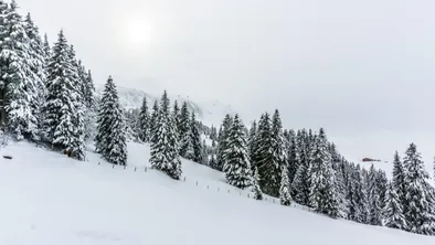 46 граждан РФ застряли в мороз на одной из казахстанских трасс