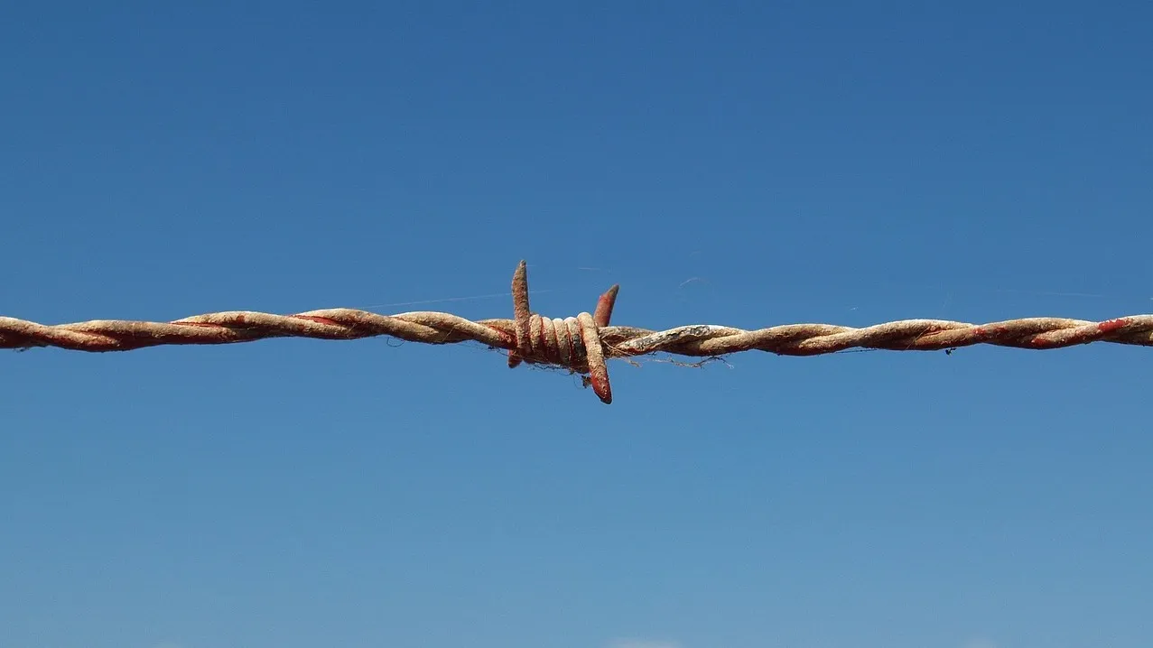 Нарушения на 75 млрд тенге были предотвращены погранслужбой КНБ в прошлом году фото на taspanews.kz от 06 января 2026 10:38