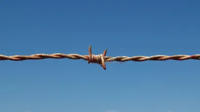 Нарушения на 75 млрд тенге были предотвращены погранслужбой КНБ в прошлом году