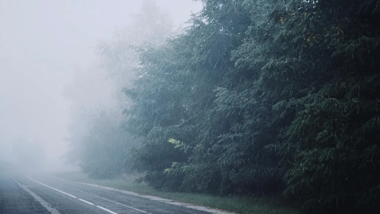 В Алматы в ДТП скончались два иностранных студента из Индии фото на taspanews.kz от 08 января 2026 09:02