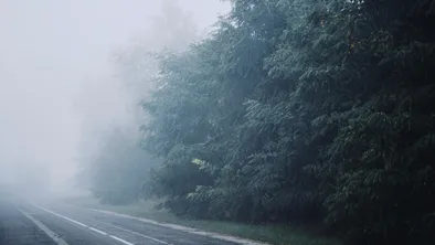 В Алматы в ДТП скончались два иностранных студента из Индии