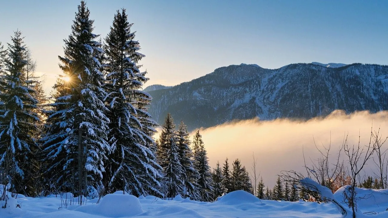 Пятница, 9 января: прогноз погоды в казахстанских мегаполисах фото на taspanews.kz от 09 января 2026 08:32