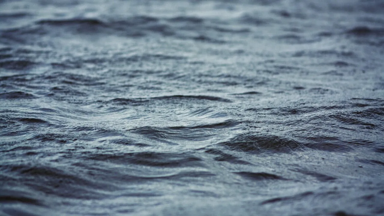 Почти на 18 млн тенге оштрафовали поставщиков поливной воды фото на taspanews.kz от 12 января 2026 09:30