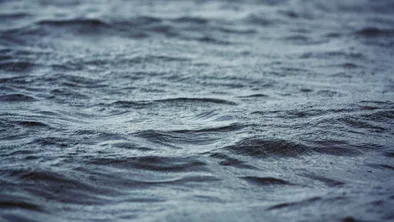 Почти на 18 млн тенге оштрафовали поставщиков поливной воды