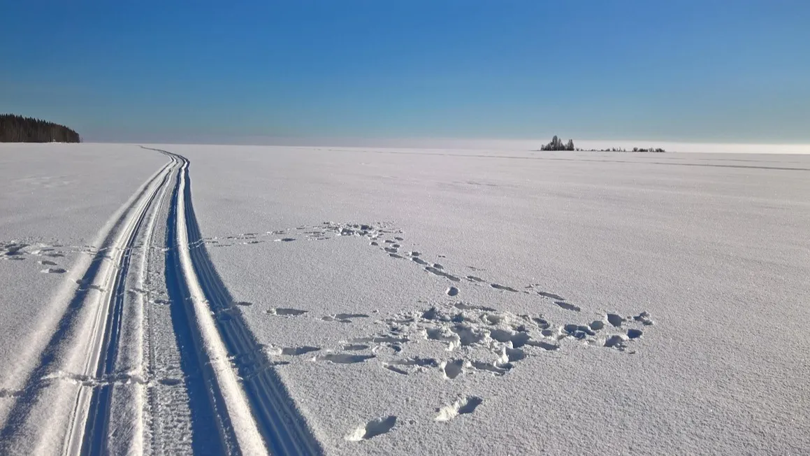 В Карагандинской области водитель автобуса не справился с управлением и съехал в кювет фото на taspanews.kz от 12 января 2026 09:56