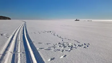 В Карагандинской области водитель автобуса не справился с управлением и съехал в кювет