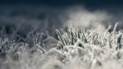Синоптики прогнозируют экстремальное похолодание в ближайшие дни