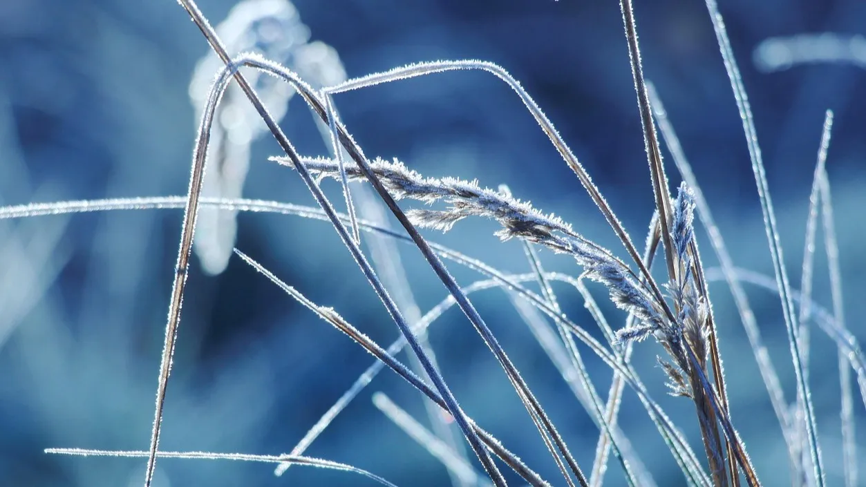 Некоторых школьников Астаны перевели на удаленное обучение фото на taspanews.kz от 12 января 2026 11:59