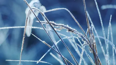 Некоторых школьников Астаны перевели на удаленное обучение