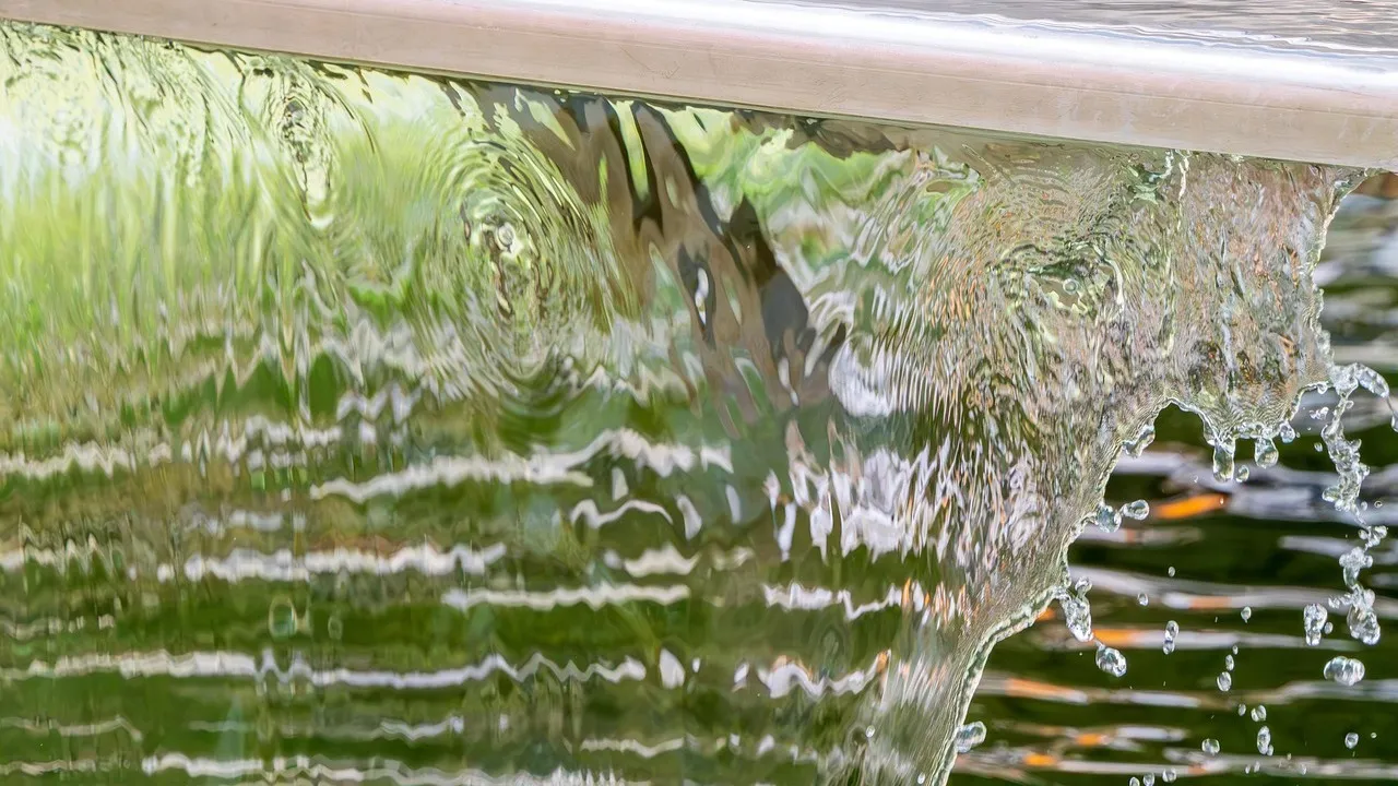 Засуху прогнозируют специалисты на юге страны фото на taspanews.kz от 13 января 2026 11:36