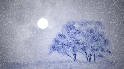 В северных областях страны школьников перевели на "дистант"