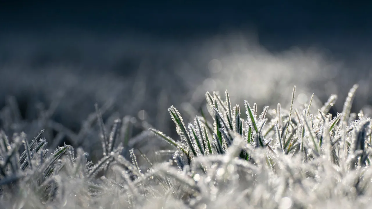 До 40 градусов мороза ожидается в Казахстане фото на taspanews.kz от 14 января 2026 10:44