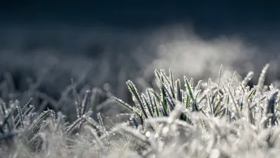 До 40 градусов мороза ожидается в Казахстане