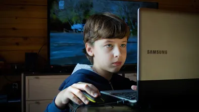 Депутаты обеспокоены опасностью Roblox