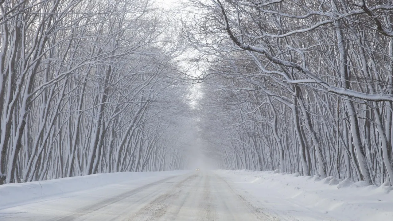 В Астане учеников второй смены отправили на "удаленку" из-за погоды фото на taspanews.kz от 15 января 2026 09:56