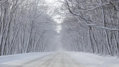 В Астане учеников второй смены отправили на "удаленку" из-за погоды