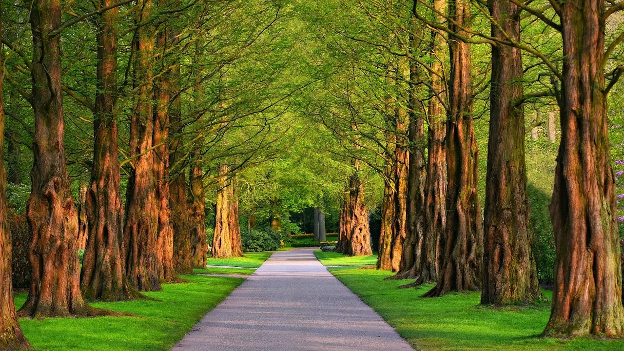 Суд в Таразе в два раза повысил сумму компенсации за участок под парк фото на taspanews.kz от 15 января 2026 11:39