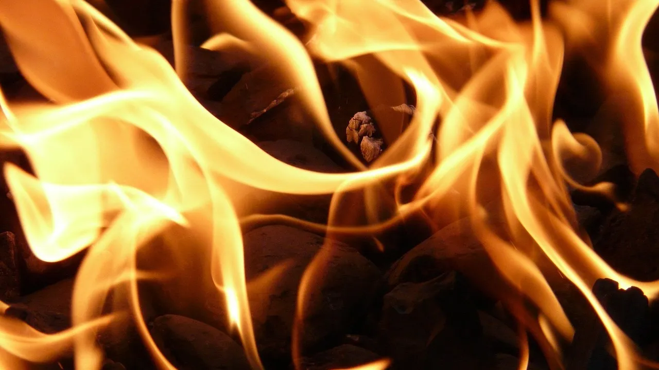 В СКО в пожаре погиб ребенок фото на taspanews.kz от 19 января 2026 16:00