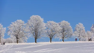 20 января, вторник: осадки и мороз прогнозируются в Астане, Алматы и Шымкенте