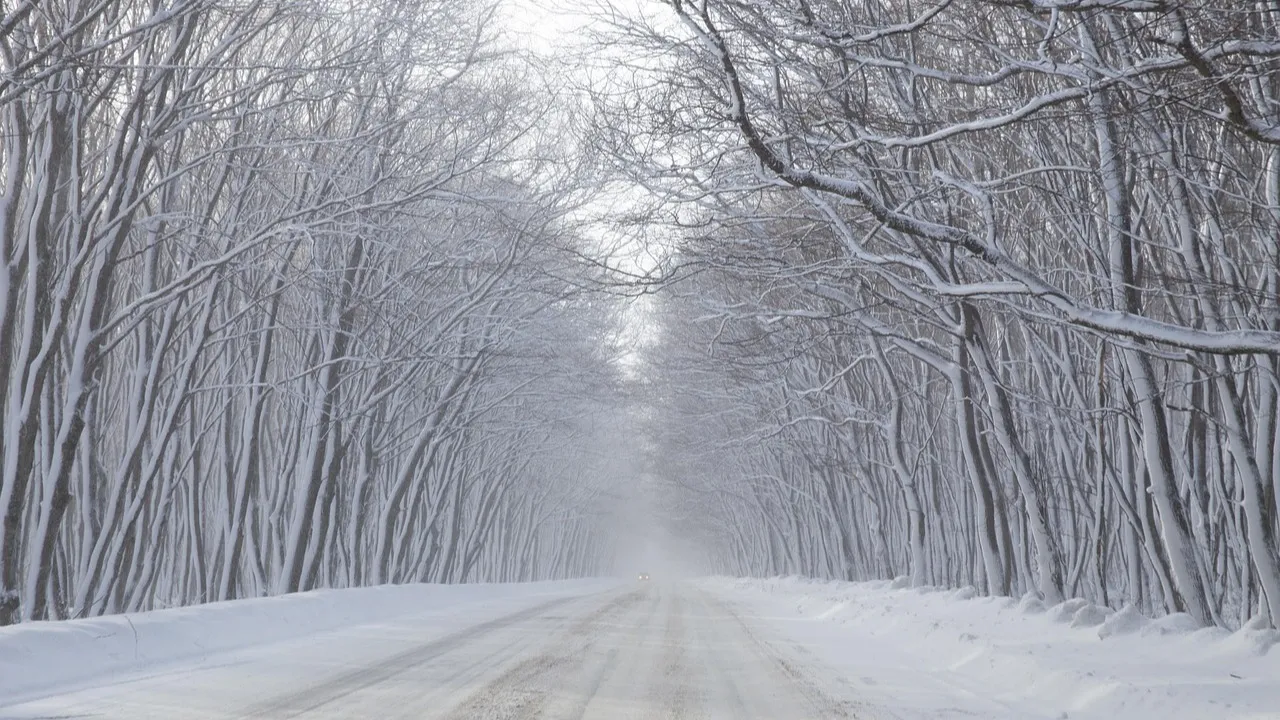 Учеников и студентов в Костанайской области отправили на "удаленку" фото на taspanews.kz от 22 января 2026 08:47