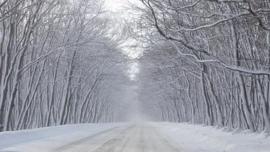 Учеников и студентов в Костанайской области отправили на "удаленку"