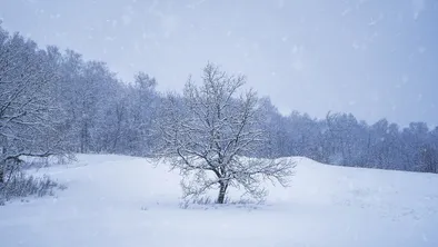Пятница, 23 января: прогноз погоды в Астане, Алматы и Шымкенте